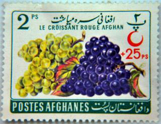 Selo Vinho - Afeganisto